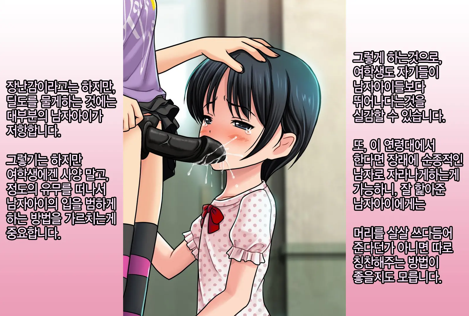 Joken Jidai Ni Okeru Shinjin Kyoushi No Tame No Gakunenbetsu Shidou Youkou